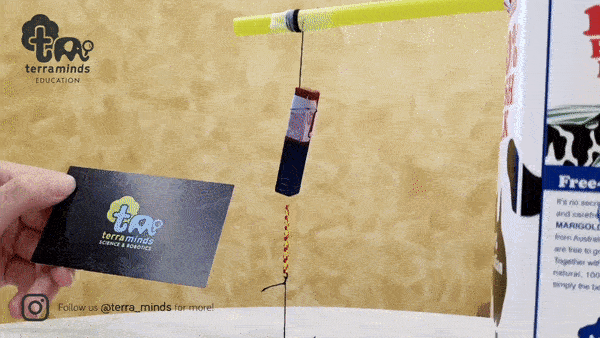 gif card experiment optimised