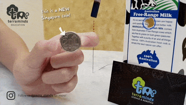 gif new sg coin