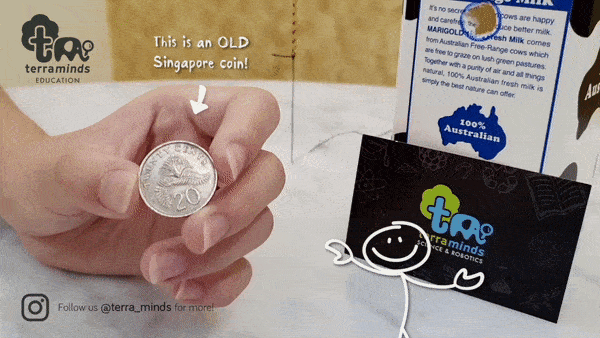 gif old sg coin