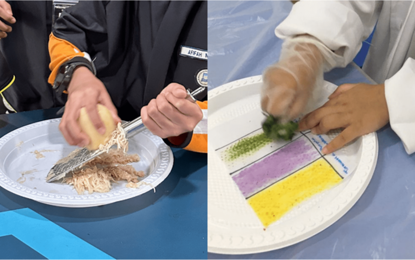 Food Scientist (Testing and Extraction) (3h)
